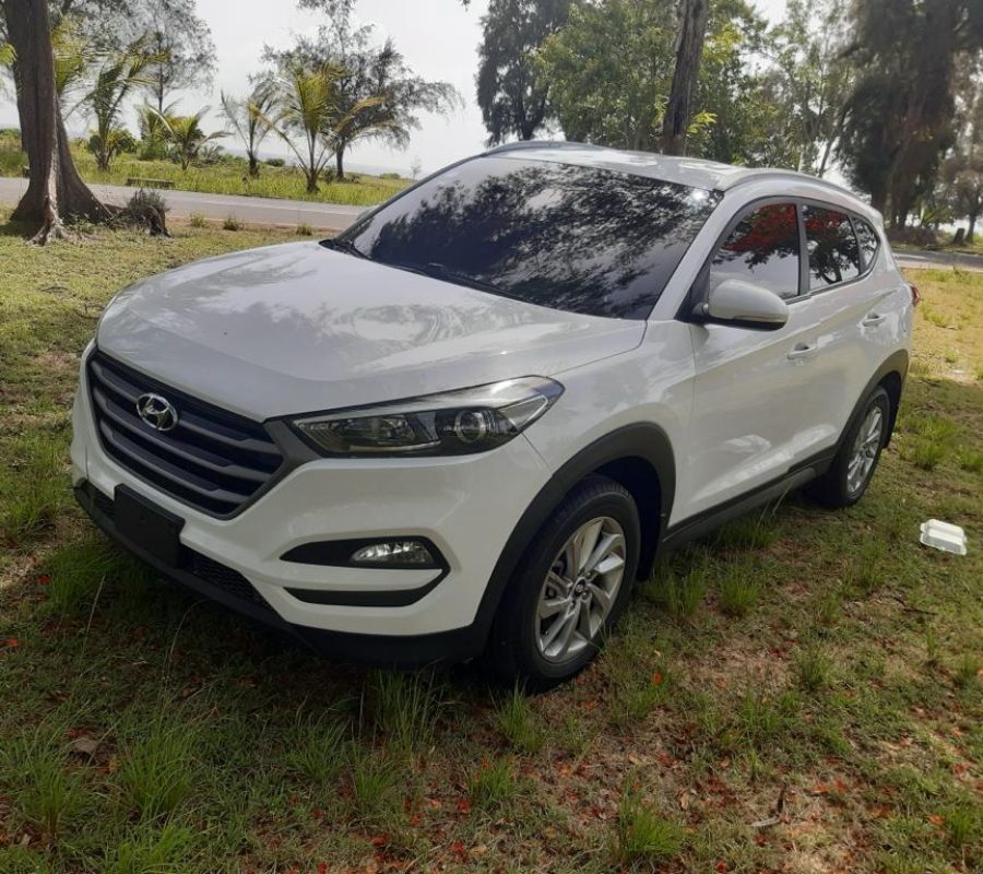 44e8733b-aac0-4f5a-9a71-4c5a92a819ee